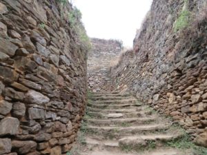 Drukgyel Dzong Stairs