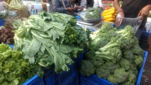 Another variety of Lettuce, Zucchini - Pune Vegetable Wholesale Market
