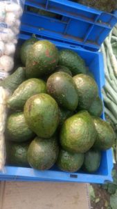 Avocado - Pune Vegetable Wholesale Market