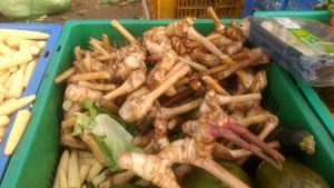 Ganlangal (Thai Ginger) - Pune Vegetable Wholesale Market