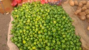 Green Capsicum (Local Variety) - Pune Vegetable Wholesale Market