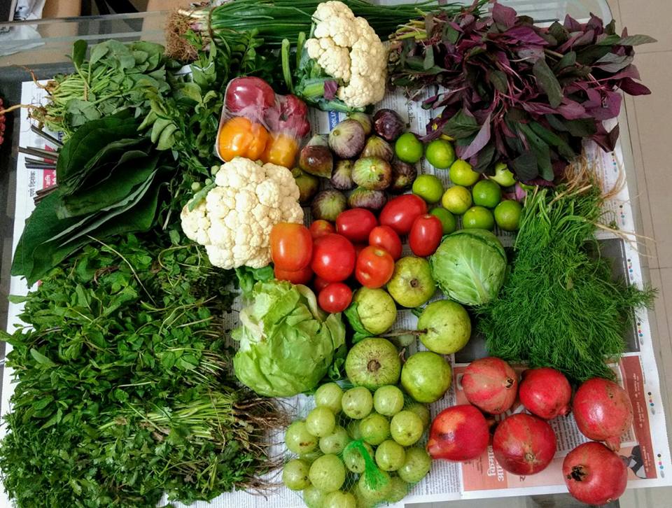 Market Yard – Pune Vegetable Wholesale Market