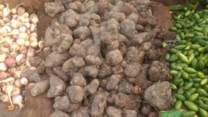 कंद (purple yam) - Pune Vegetable Wholesale Market