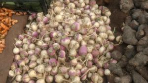 शलगम (white radish) - Pune Vegetable Wholesale Market