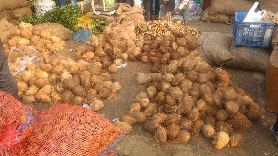 How to Identify a good coconut?