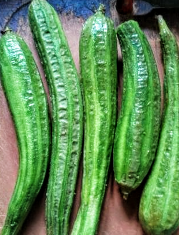 Ridge Gourd Post peeling