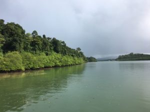 Enroute to the Baratang Jetty