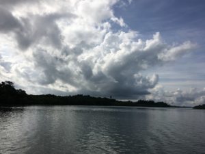 Enroute to the Baratang Jetty