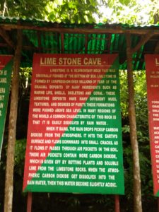 Limestone Caves